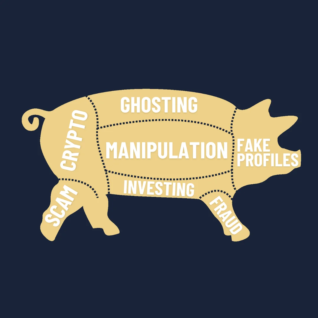 Pig butchering scam diagram illustration