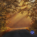 image of sun shining light on country road